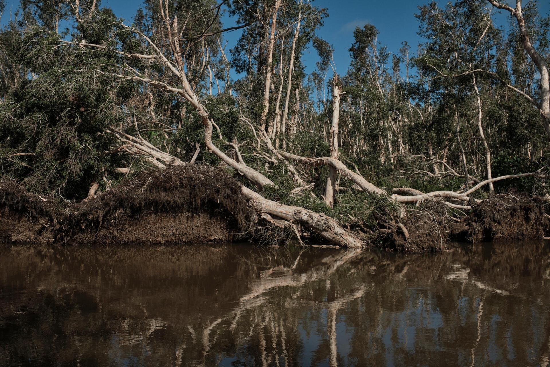 Vue des côtes près de Nosy Varika, dans le sud de Madagascar, après le passage des cyclones Batsirai et Emnati en février 2022. Madagascar, mars 2022